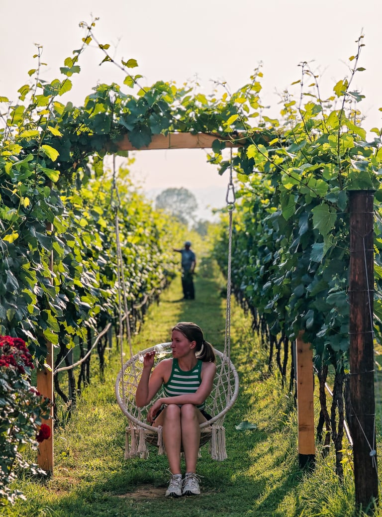 Monte Grande Winery