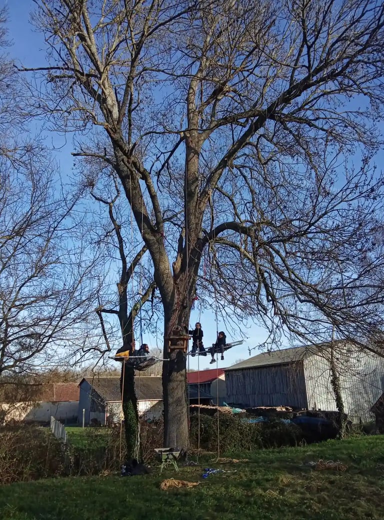 bivouac perché arboricole avec portaledges
