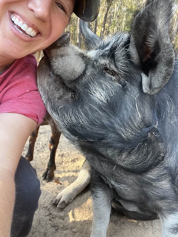 A smiling woman takes a close-up selfie while cuddling a large black rescue pig at a farm sanctuary.