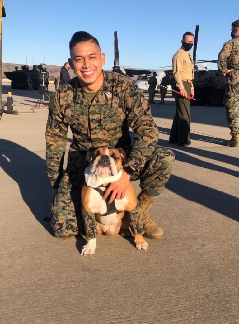 A smiling US Marine in camouflage uniform kneeling with an English Bulldog mascot on a military airfield.