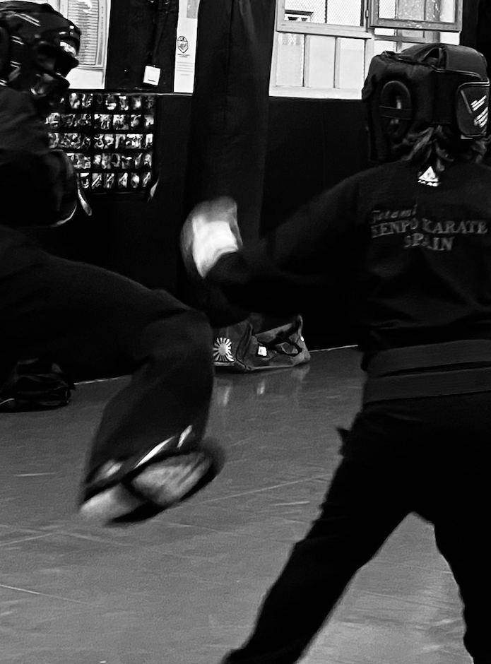 kenpo karate patada