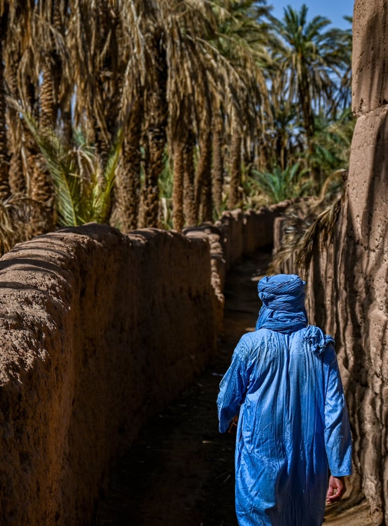 guided tour in zagora with dar toda - soul of nomads