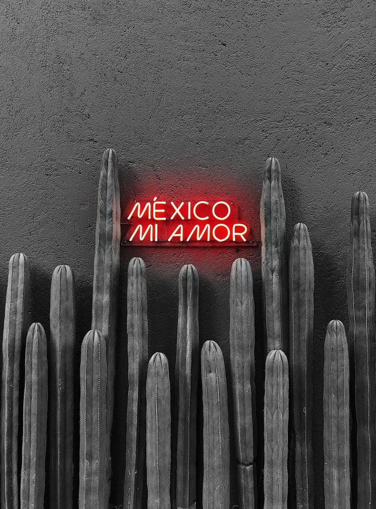 a neon sign that says mexico mi amor
