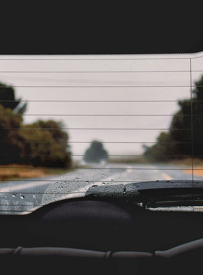 Looking out of rearview window