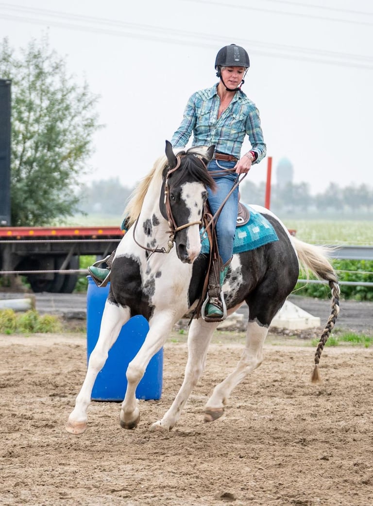 Cowgirl die op een zwart wit paard rijdt