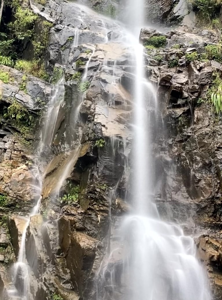 a waterfall in the middle of a forest