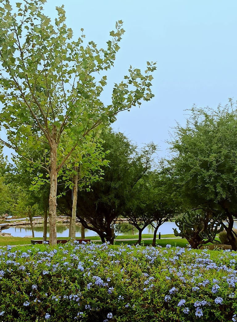 Detalle del área verde y lago en Lago de Juriquilla, Cumbres del Lago