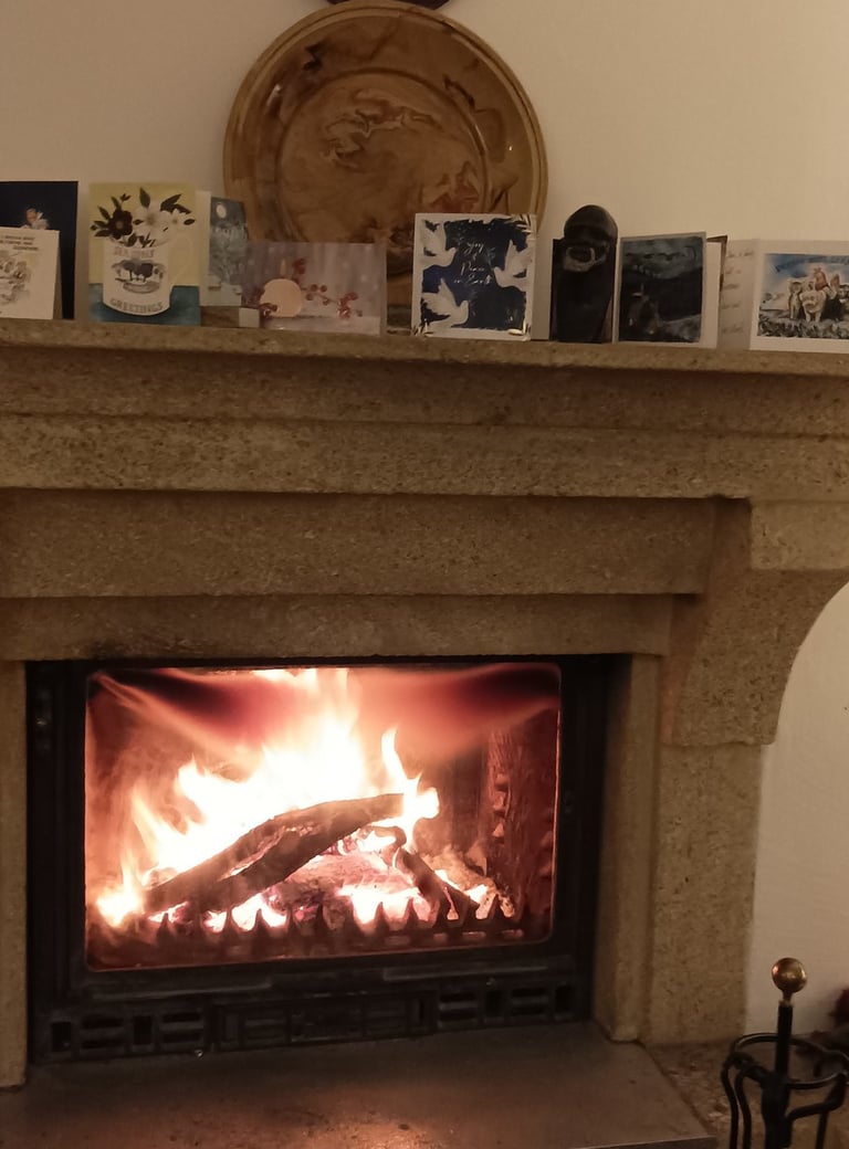 Our fireside in January