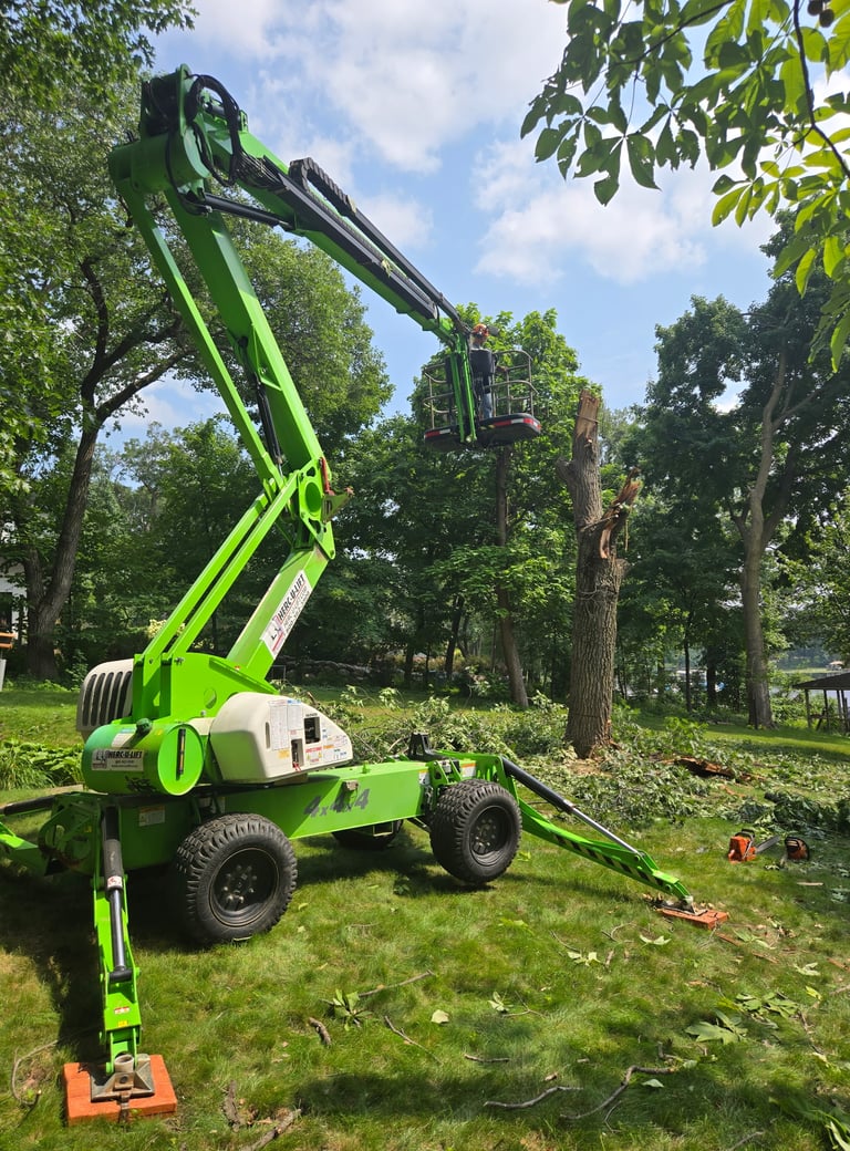 tree removal services in eden prairie mn