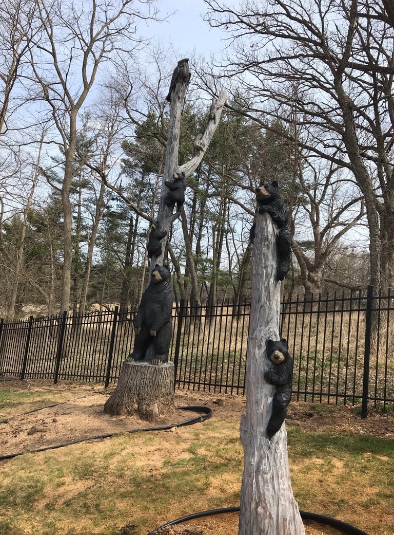 bears owl oak tree carving art