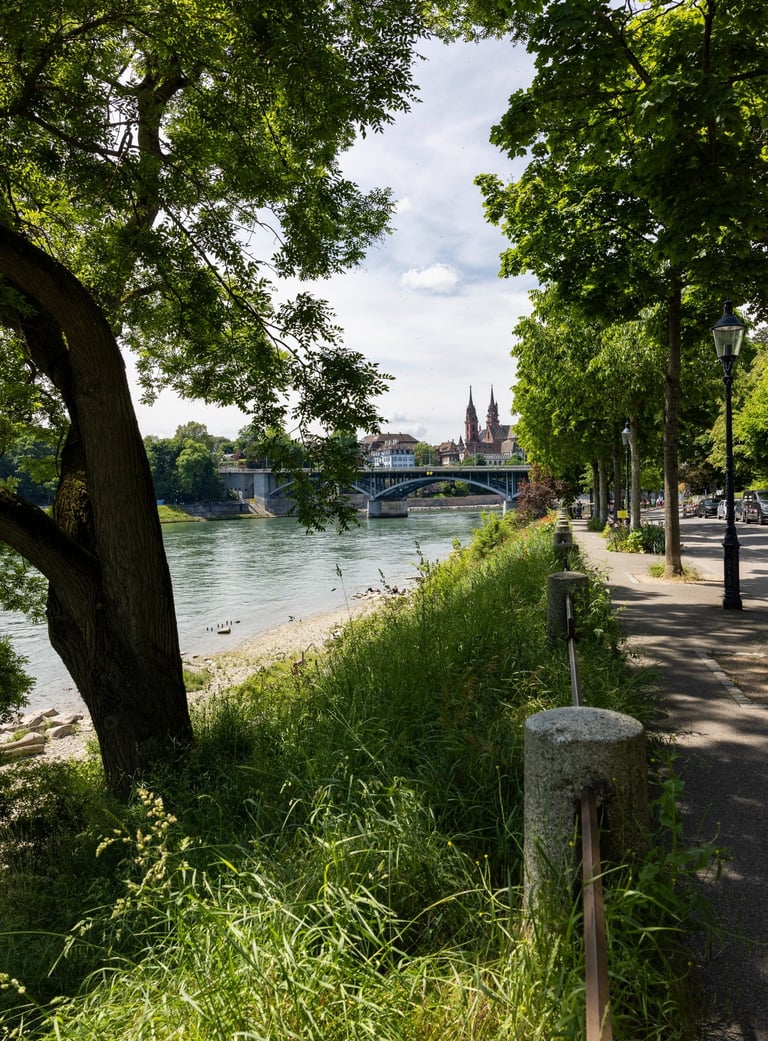 Blick über den Rhein zum Basler Münster – Beispielbild aus dem Allrounder Fotokurs Basel.