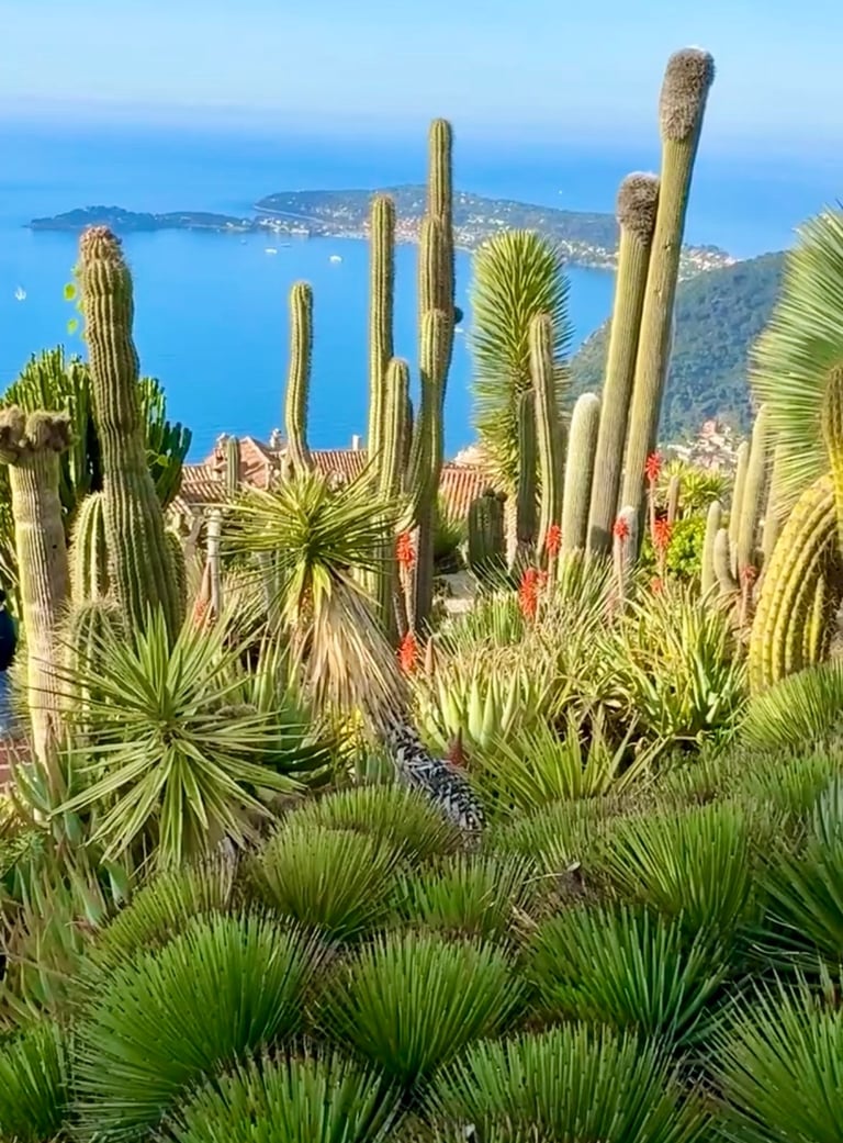 Jardin exotique d'Eze