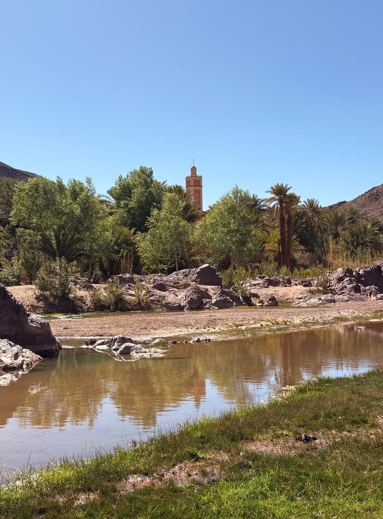 Oasis de Fint