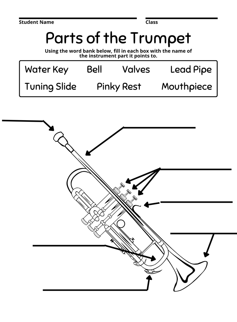 Parts of the Trumpet