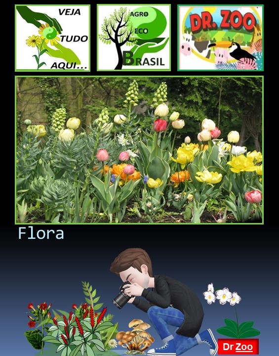 Zooecologia 