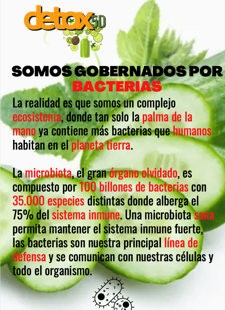 Somos gobernados por bacterias digestivas