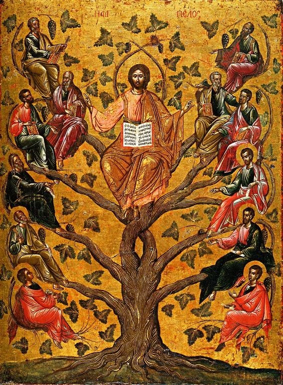 Abiding in the Vine (John 15:1)