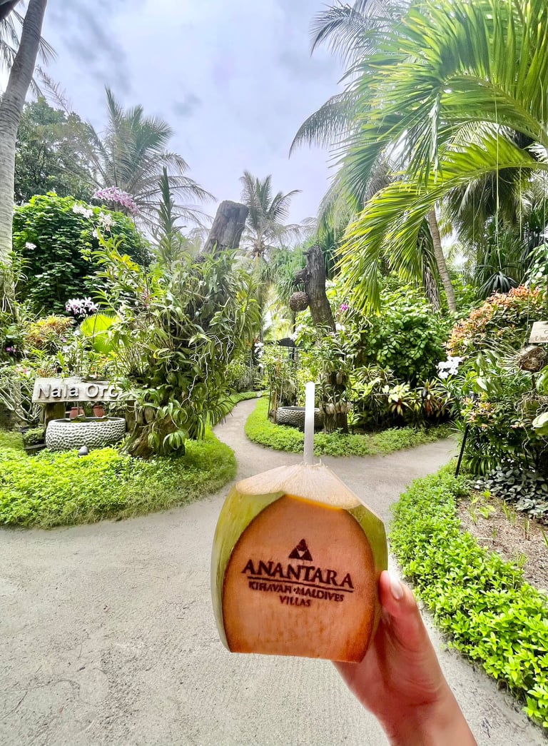 Anantara Kihavah Maldives coconut