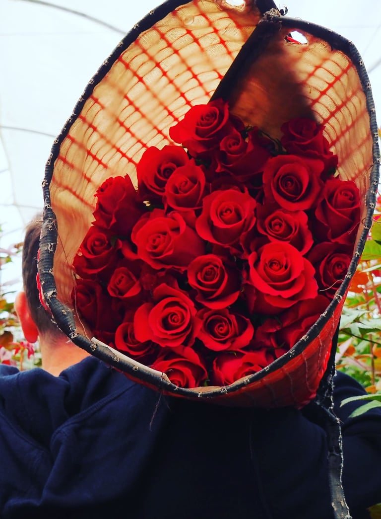 a person carrying a red rose bouquet in a greenhouse