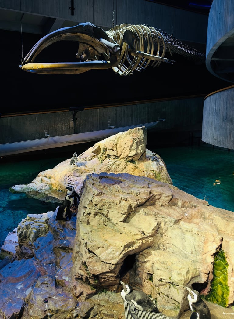 Penguins under a whale skeleton