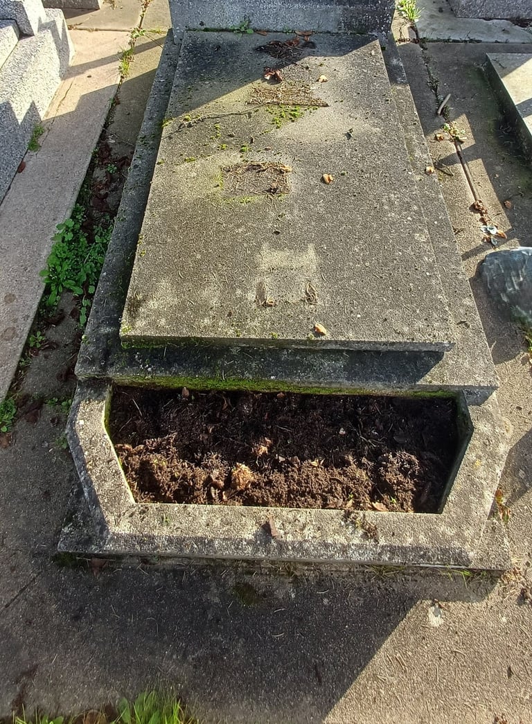 NETTOYAGE TOMBE ENCRASSEE en Pays de la loire