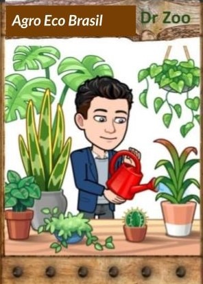Agro Eco Brasil