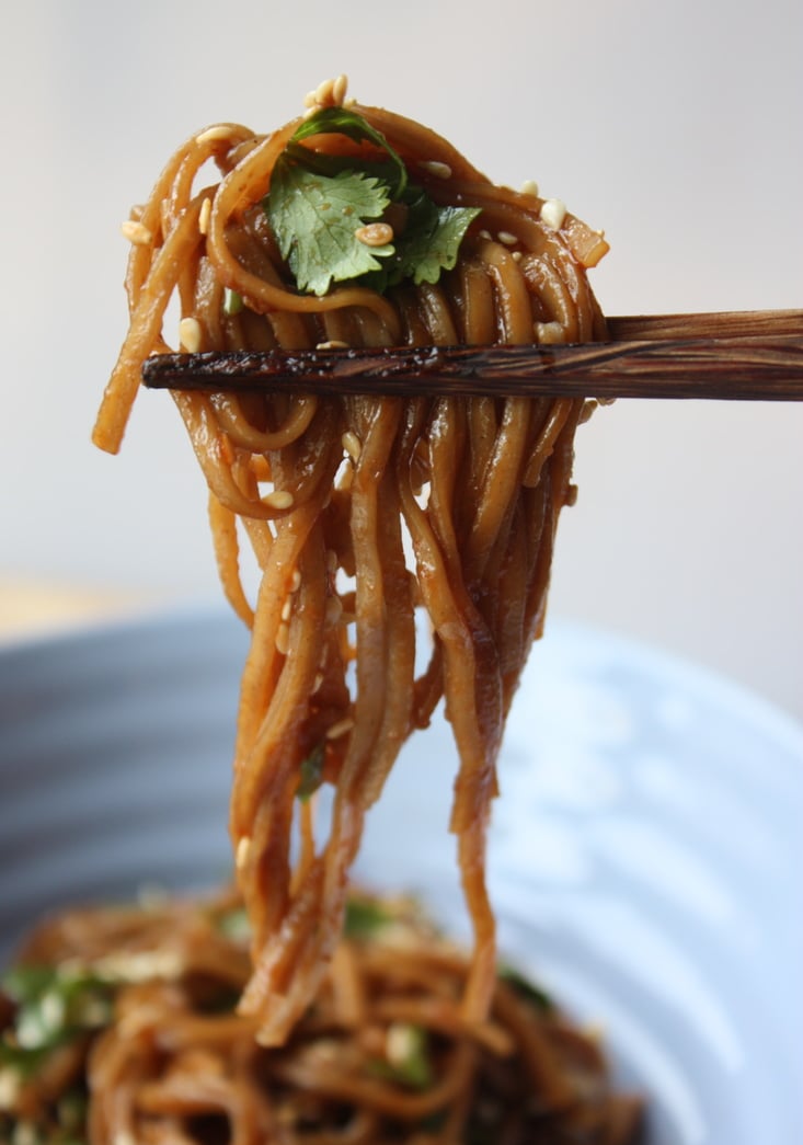 bite of quickie lunch soba noodles