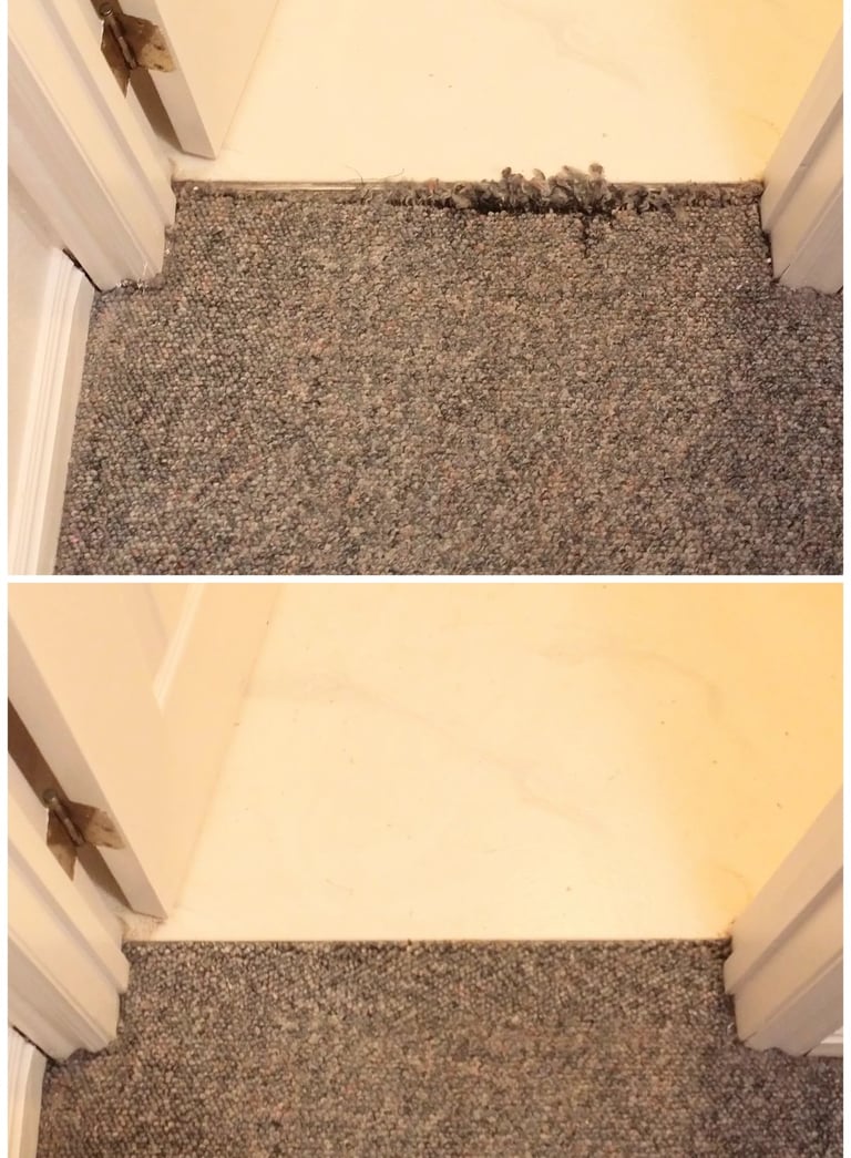 Berber carpet damaged by dog was fixed and looks great in Midway, UT.