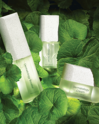 3 glass bottles containing Korean Skin Care products surrounded by green leaves