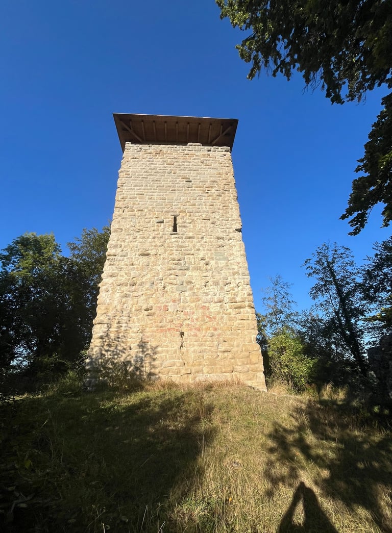 Burg Ruine Alt Wülflingen