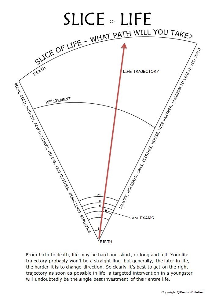 Slice of Life infographic depicting life trajectory