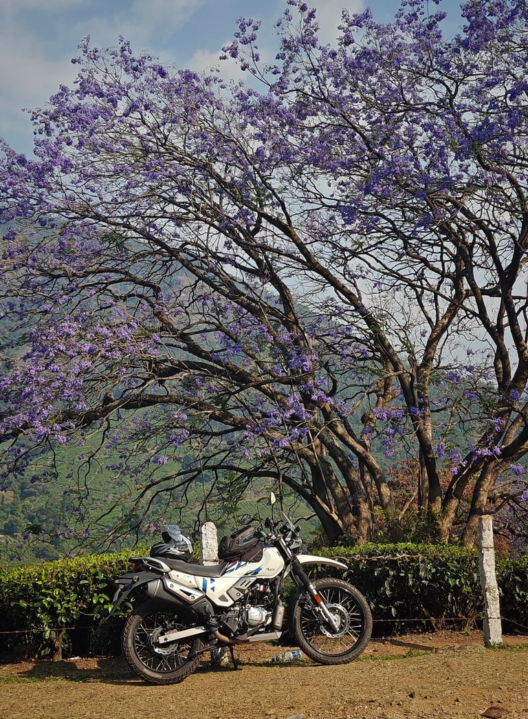 Solo trip on a bike to Anakulam and Mankulam.