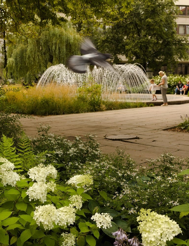 a photo of landscape design project