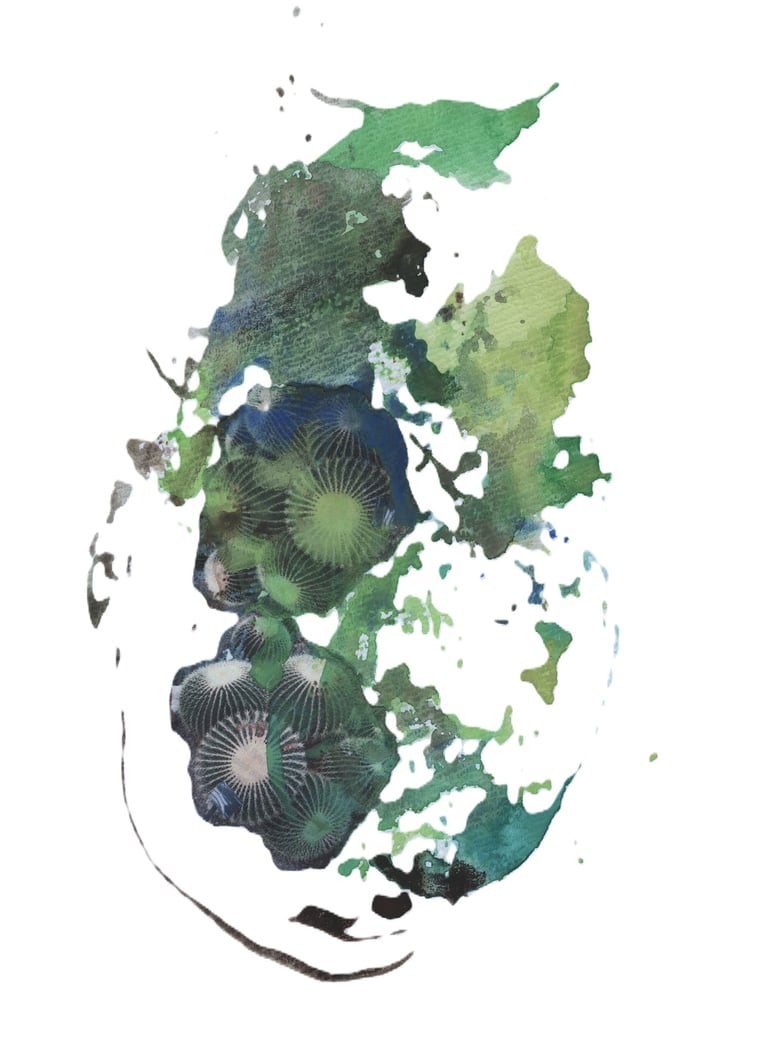 Inspired by nature’s palettes, exploring fluidity and balance in the Sogetsu Ikebana art