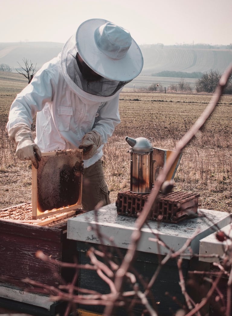 Imker Simon Tötschinger beim arbeiten am Bienenstock