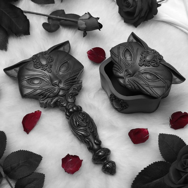 a black and white photo of a cat with a mirror