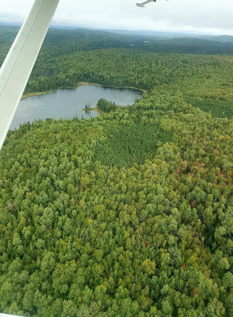 Hydravion mauricie