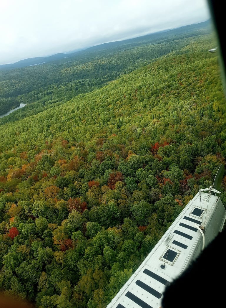 Hydravion mauricie