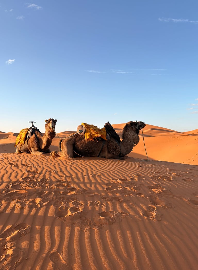 Merzouga