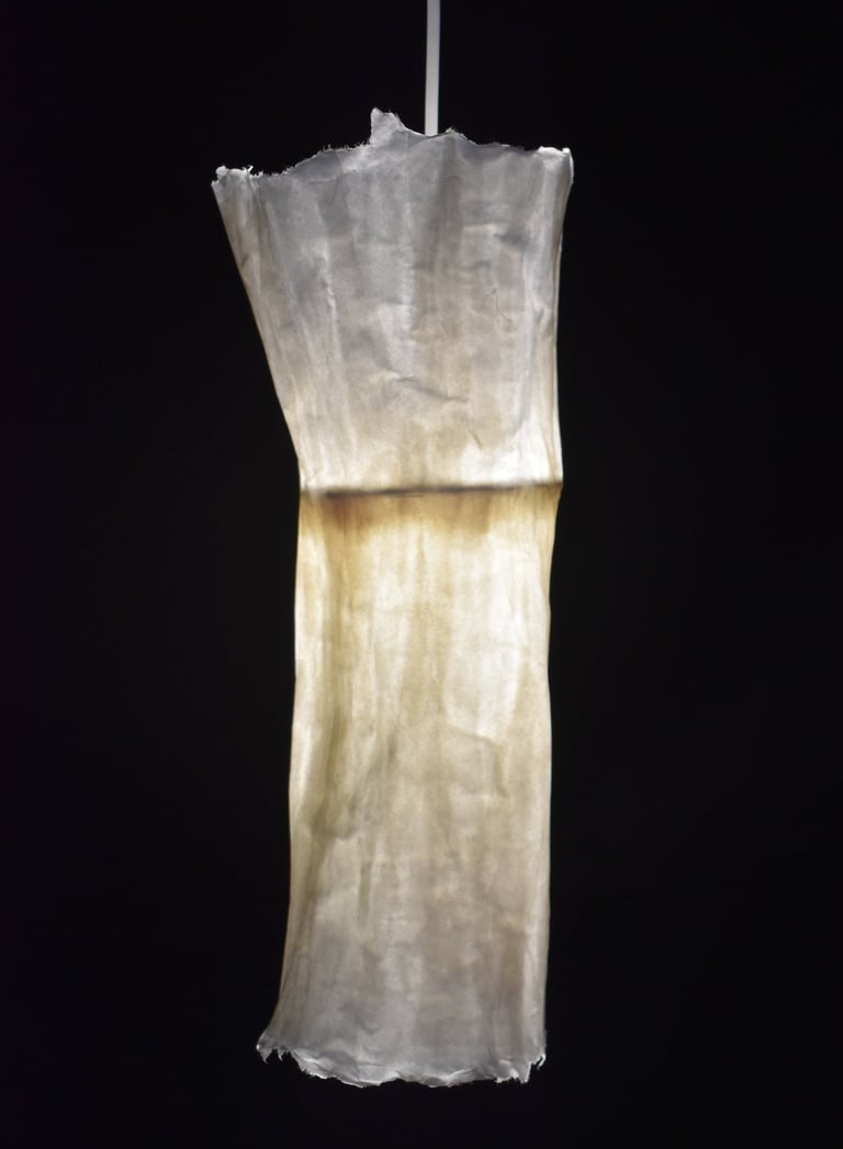 loupiote baladeuse lumineuse papier