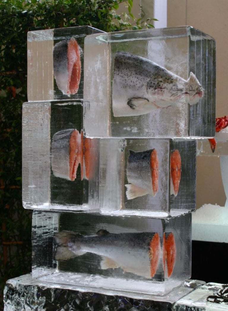 peces congelados incrustados en piezas de hielo cristaliano premium decoracion gastronomica