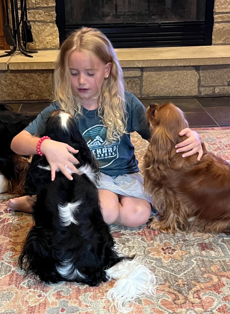Mackenzie and cavaliers