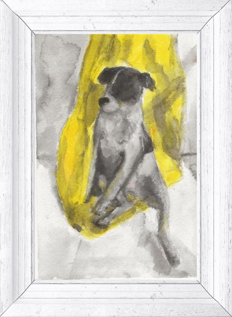 Le rideau jaune aquarelle représentant un chien Tous droits réservés Leslie BRENIAUX pour fovassist