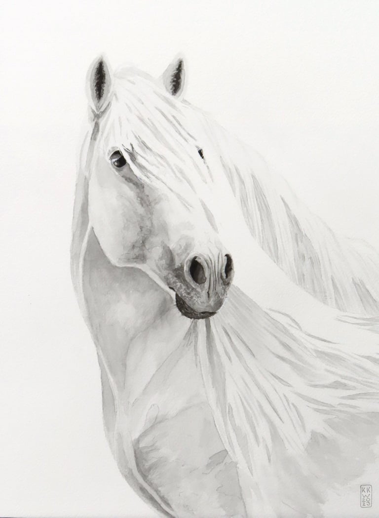 23-06 White Horse