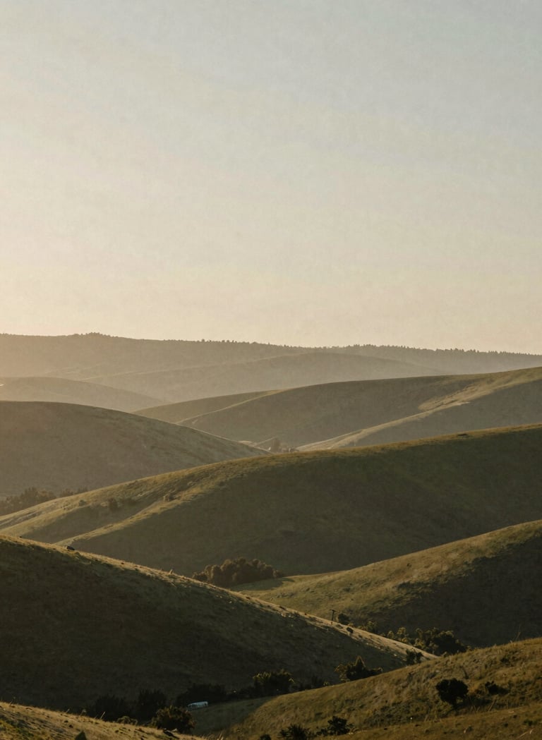 An atmospheric landscape shot of rolling hills under a hazy evening sky. The image has a vintage, grainy texture that evokes nostalgia. Colors blend from #6F604F into #C4B29A, with a soft, ethereal light that makes the viewer feel truly in the moment.