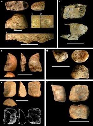 Alcuni reperti "paleolitici (Proffitt T. et al., 2016 FOTO) - appesianphylum.com
