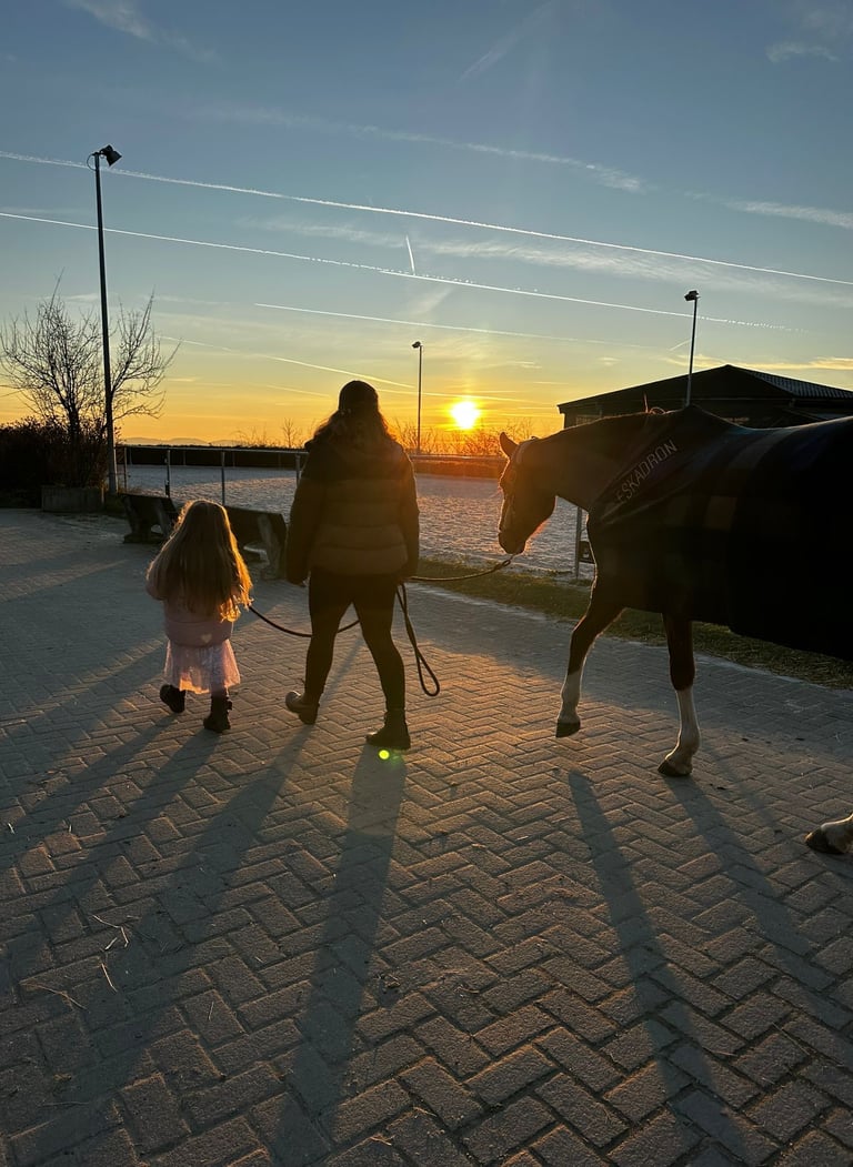 Ponytante und ihr Pferd im Sonnenuntergang