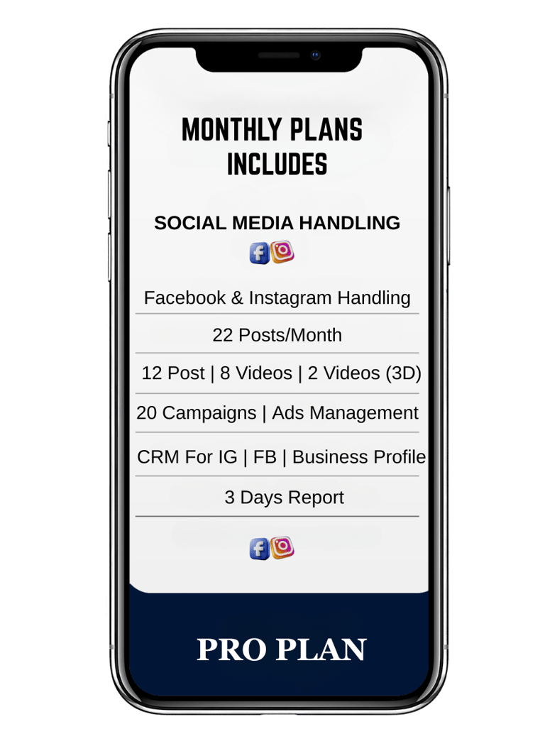 digital marketing agency in ludhiana pro plan