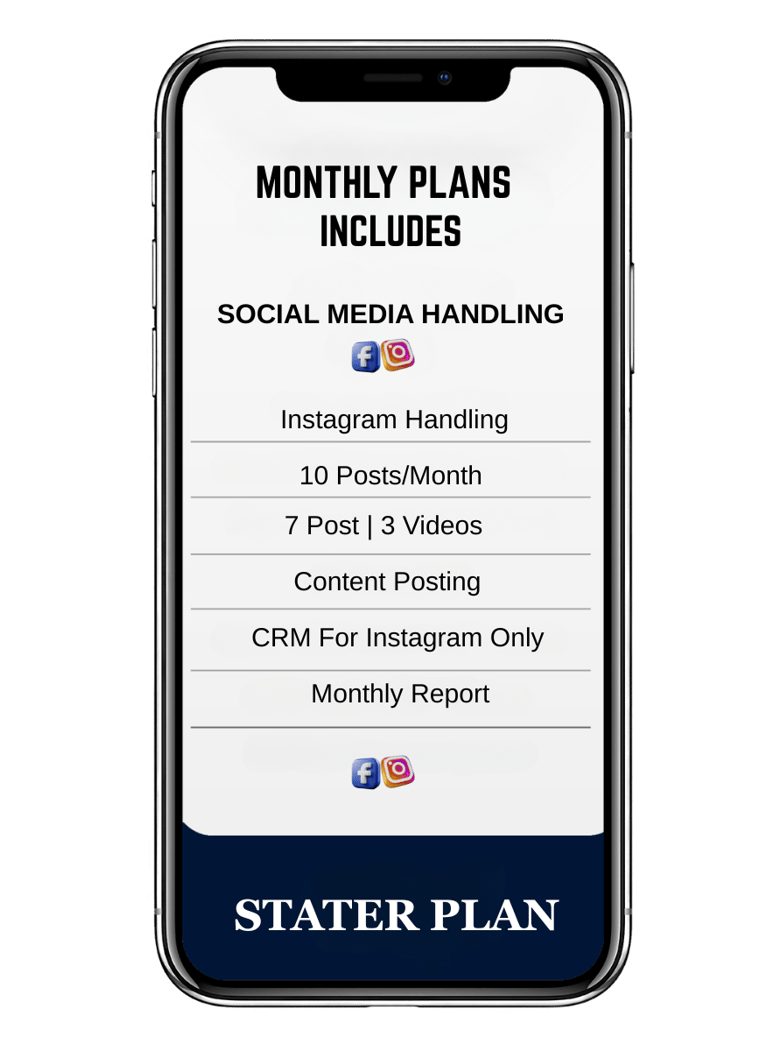 digital marketing agency in ludhiana stater plan