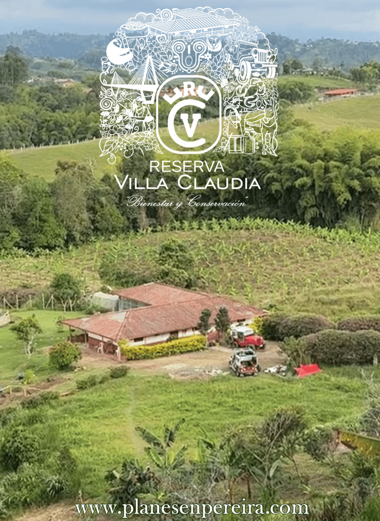 sitios para conocer en pereira